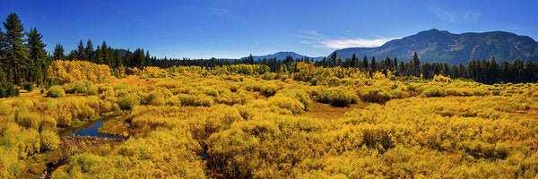 Fall Colors At Kiva - Art Print