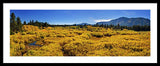 Fall Colors At Kiva - Framed Print