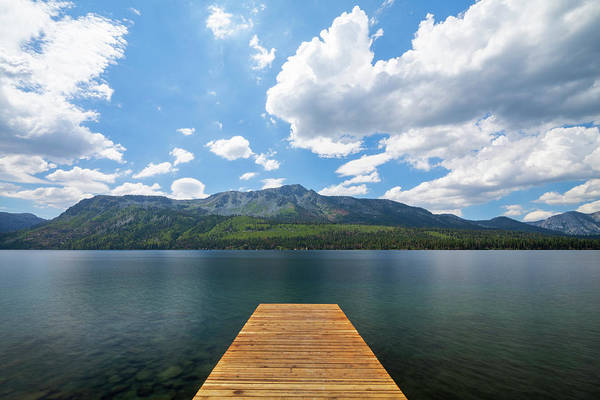 Fallen Leaf Dock - Art Print