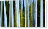 Ghosts Of Fall - Canvas Print-12.000" x 6.250"-Lake Tahoe Prints