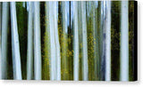 Ghosts Of Fall - Canvas Print-12.000" x 6.250"-Lake Tahoe Prints