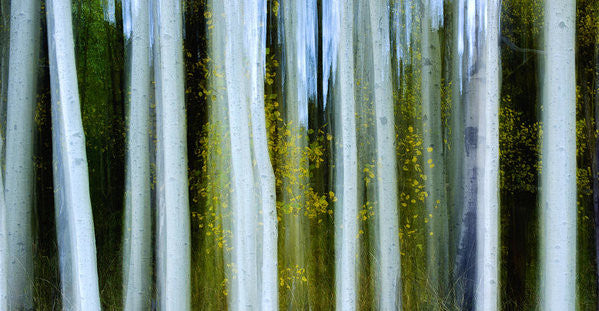 Ghosts Of Fall - Art Print