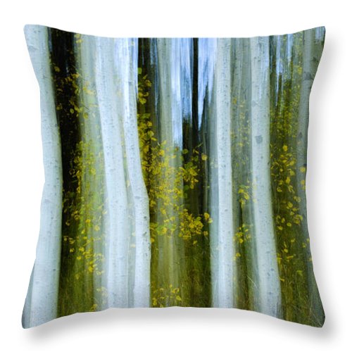 Ghosts Of Fall - Throw Pillow-Lake Tahoe Prints