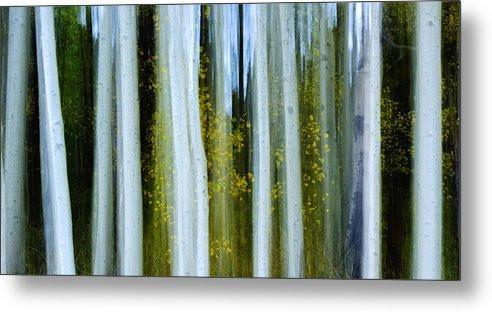 Ghosts Of Fall - Metal Print