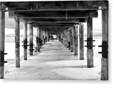 Give Me Shelter By Brad Scott - Acrylic Print