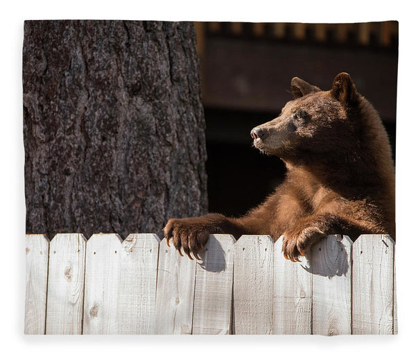Hey There Neighbor By Brad Scott - Blanket-Lake Tahoe Prints