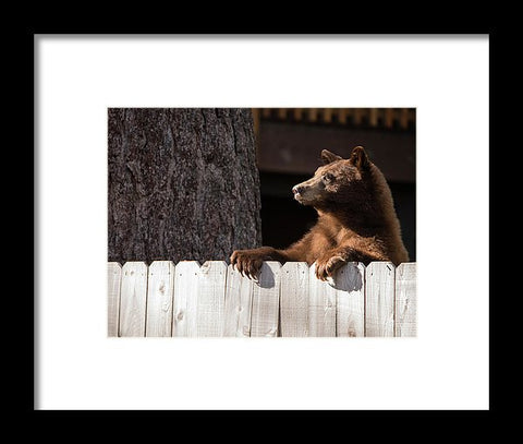 Hey There Neighbor By Brad Scott - Framed Print-Lake Tahoe Prints