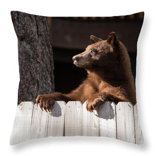 Hey There Neighbor By Brad Scott - Throw Pillow-Lake Tahoe Prints