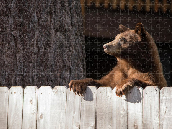 Hey There Neighbor by Brad Scott - Puzzle