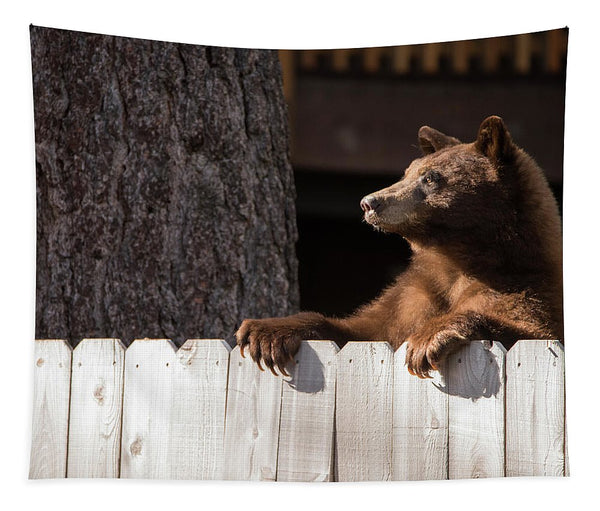 Hey There Neighbor By Brad Scott - Tapestry