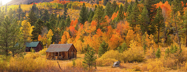 Hope Valley Fall Cabin By Brad Scott - Art Print