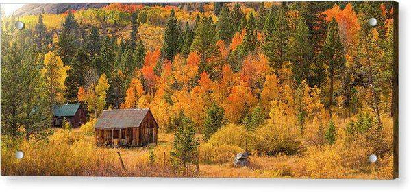 Hope Valley Fall Cabin By Brad Scott - Acrylic Print