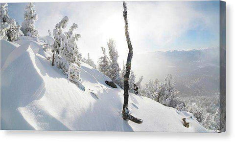 Lightning Tree By Brad Scott - Canvas Print-Lake Tahoe Prints