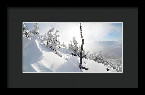 Lightning Tree By Brad Scott - Framed Print