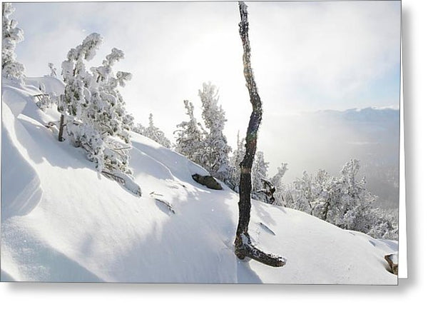 Lightning Tree By Brad Scott - Greeting Card