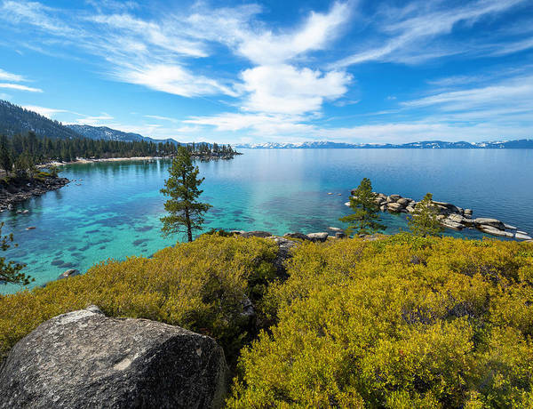 Manzanita View - Sand Harbor Lake Tahoe - Art Print