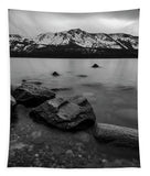 Monochromatic Dream By Brad Scott - Tapestry