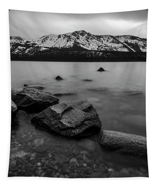 Monochromatic Dream By Brad Scott - Tapestry