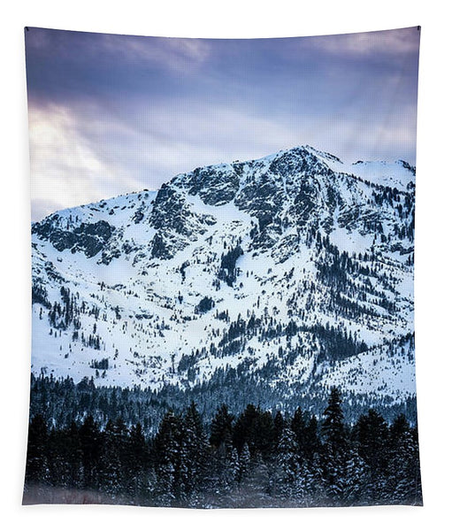 Mt Tallac Foggy Meadow - Tapestry