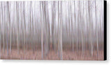 Pastel Grove - Canvas Print-12.000" x 6.000"-Lake Tahoe Prints