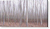Pastel Grove - Canvas Print-12.000" x 6.000"-Lake Tahoe Prints