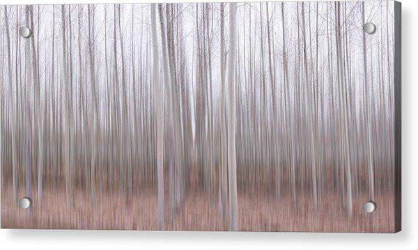Pastel Grove - Acrylic Print-Lake Tahoe Prints