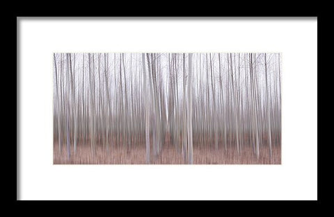 Pastel Grove - Framed Print-Lake Tahoe Prints