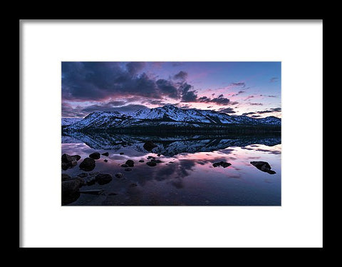 Rose Reflections By Brad Scott - Framed Print