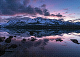 Rose Reflections by Brad Scott - Puzzle