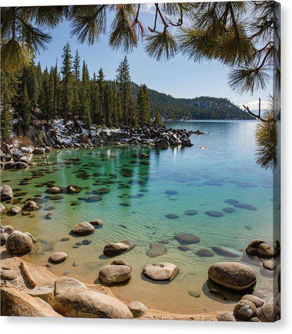 Secret Cove Through The Trees By Brad Scott - Canvas Print-8.000" x 8.000"-Lake Tahoe Prints