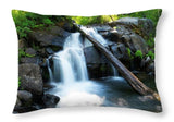 Secret Falls By Brad Scott - Throw Pillow