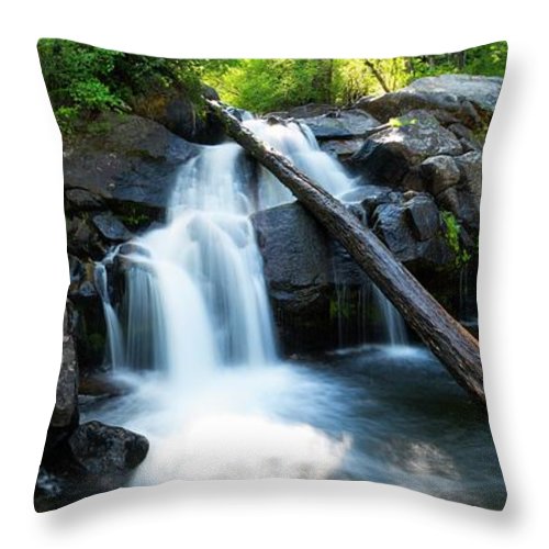 Secret Falls By Brad Scott - Throw Pillow
