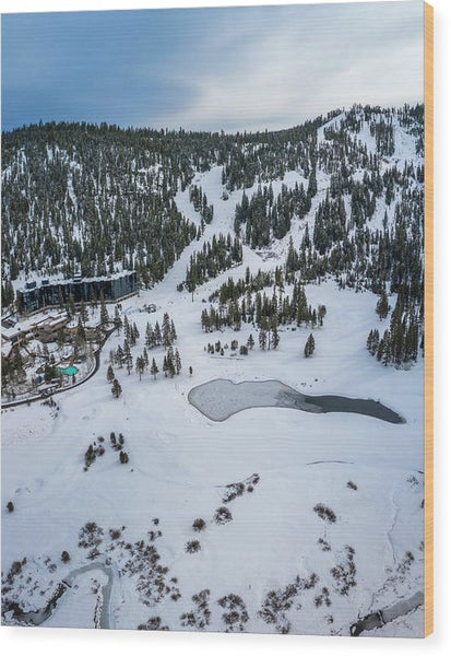 Squaw Valley Meadow Aerial - Wood Print by Brad Scott