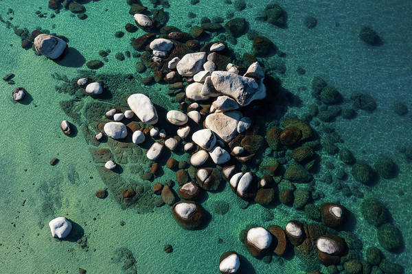 Tahoe Turquoise - Art Print