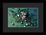 Tahoe Turquoise - Framed Print