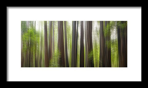 Take Me To The Forest by Brad Scott - Framed Print