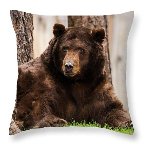 The King Of Tahoe By Brad Scott - Throw Pillow-Lake Tahoe Prints