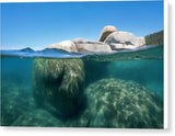 Whale Beach Underwater Split - Canvas Print