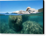 Whale Beach Underwater Split - Canvas Print