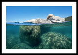 Whale Beach Underwater Split - Framed Print