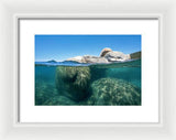 Whale Beach Underwater Split - Framed Print