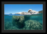 Whale Beach Underwater Split - Framed Print