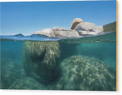 Whale Beach Underwater Split - Wood Print