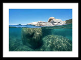 Whale Beach Underwater Split - Framed Print