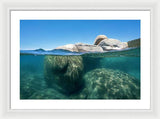 Whale Beach Underwater Split - Framed Print