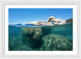 Whale Beach Underwater Split - Framed Print