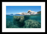 Whale Beach Underwater Split - Framed Print