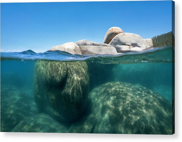 Whale Beach Underwater Split - Acrylic Print
