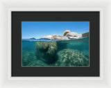 Whale Beach Underwater Split - Framed Print