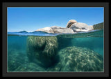 Whale Beach Underwater Split - Framed Print